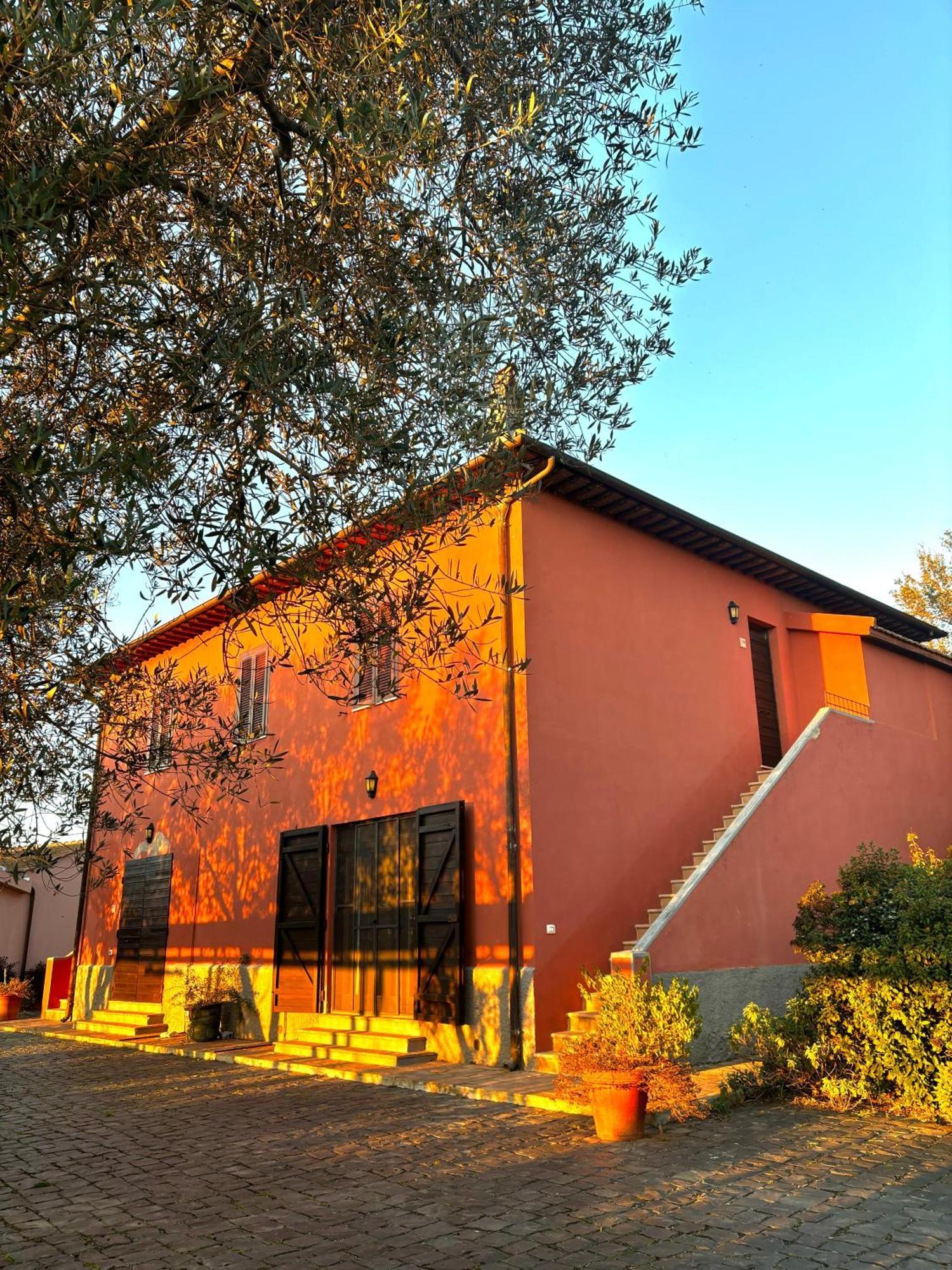 Tenuta Saracone Montalto di Castro Dış mekan fotoğraf