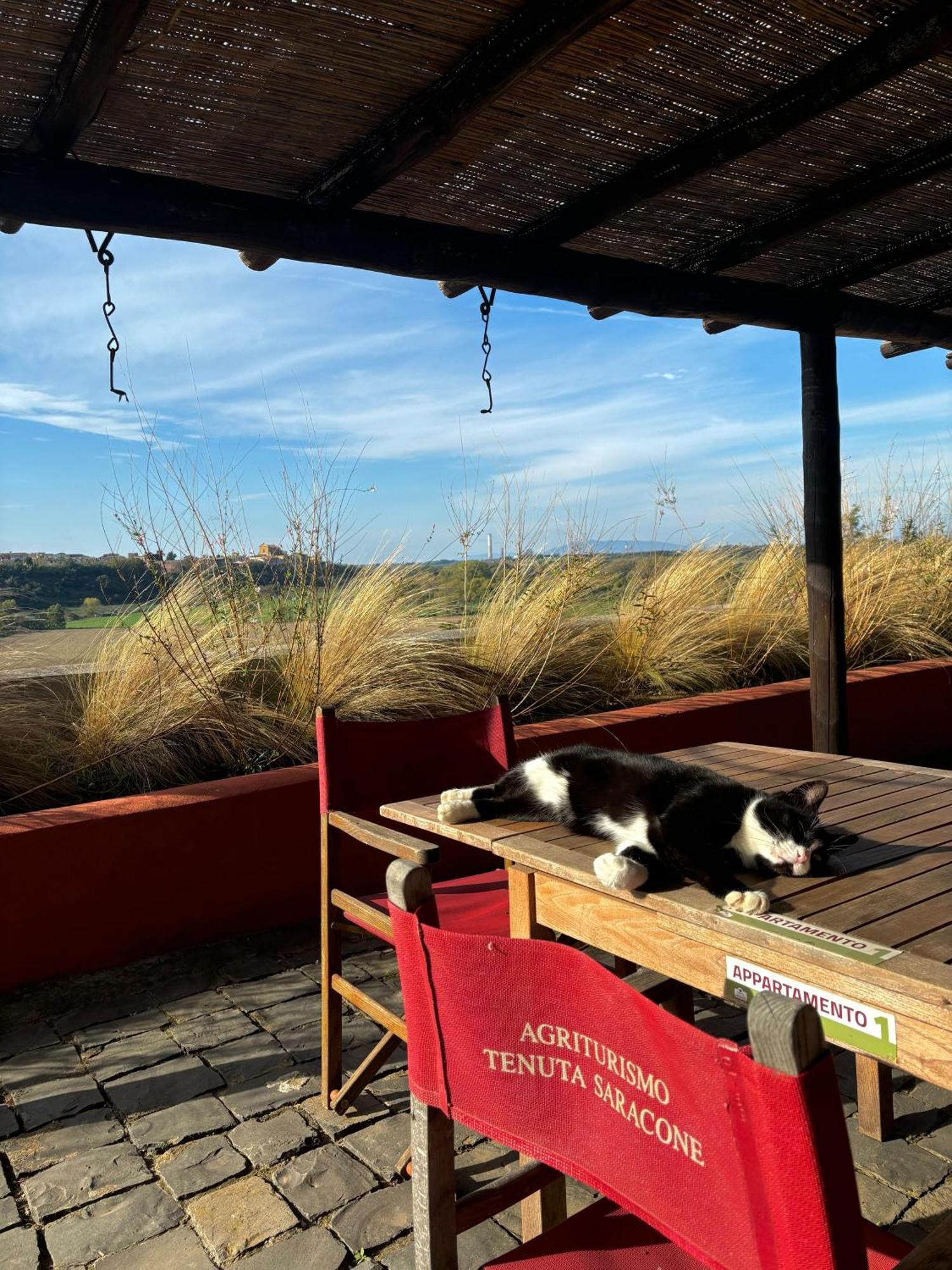 Tenuta Saracone Montalto di Castro Dış mekan fotoğraf