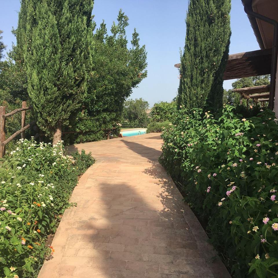 Tenuta Saracone Montalto di Castro Dış mekan fotoğraf